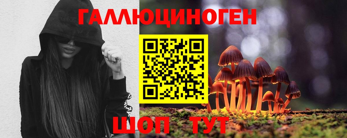 Галлюциногенные грибы мицелий Трёхгорный