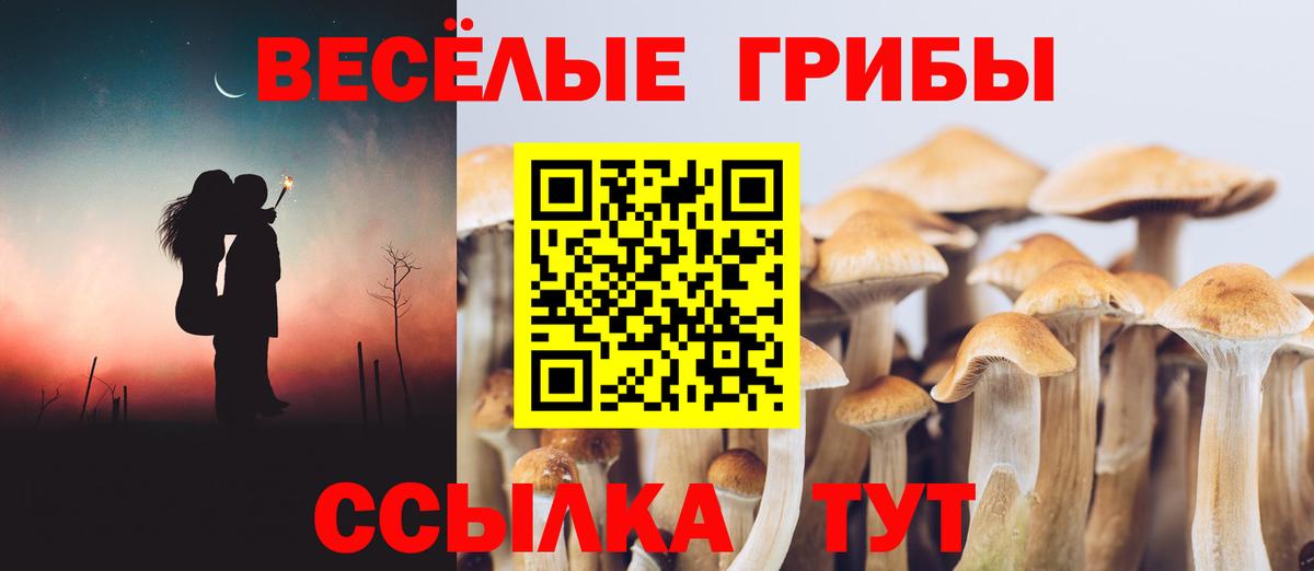 Трёхгорный  Галлюциногенные грибы Cubensis  Вход с VPN 